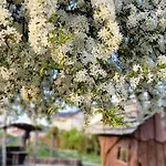 Luxury Marz, Europa Park-rulantica דירה מהלברג