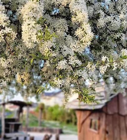 Luxury Marz, Europa Park-rulantica Апартаменты Мальберг