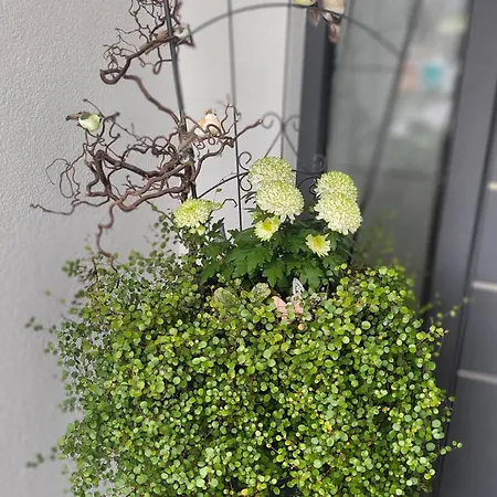 Appartement Luxury Marz, Europa Park- Rulantica